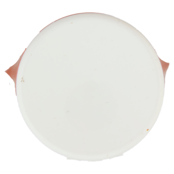 Alama Professional Curl Conditioner Districante Disciplinante 300 ml