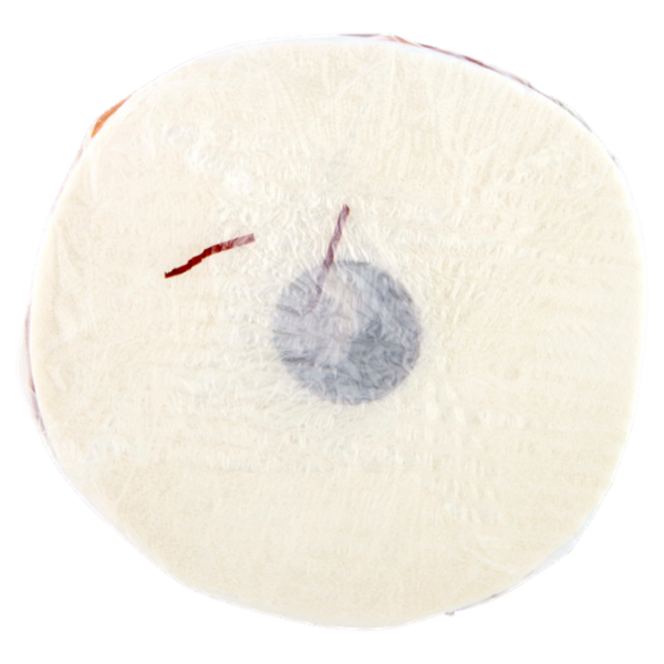 Tutto Dappertutto 1 pz