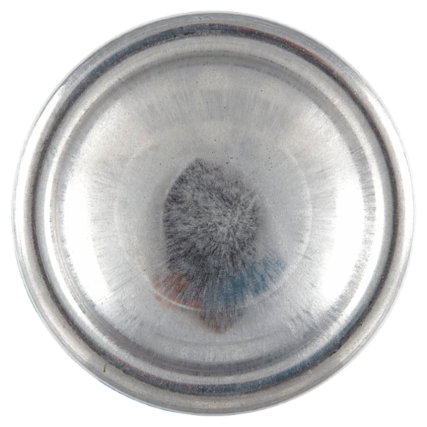 Giardino dei Sensi Fiordaliso vivace Profumo 100 ml