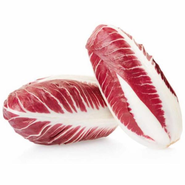 Radicchio Lungo Novello