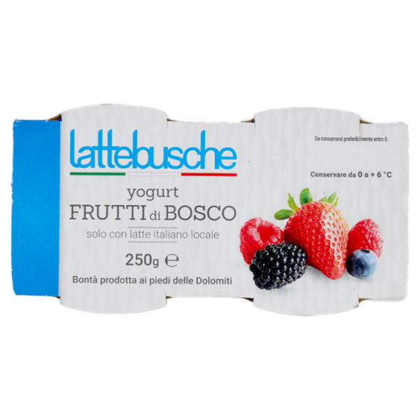 lattebusche yogurt Frutti di Bosco 2 x 125 g