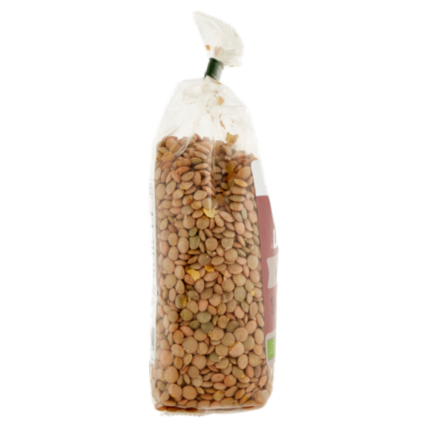 Cerreto i Legumi Lenticchie Verdi Bio 350 g