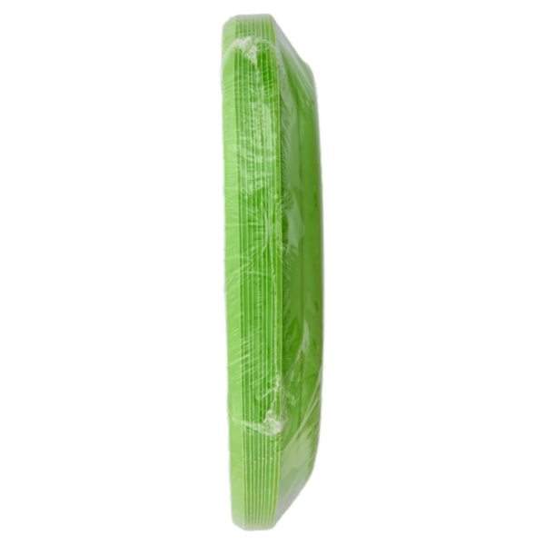 Smart Reusable Piatti Riutilizzabili G. Anis 22 cm 10 pz