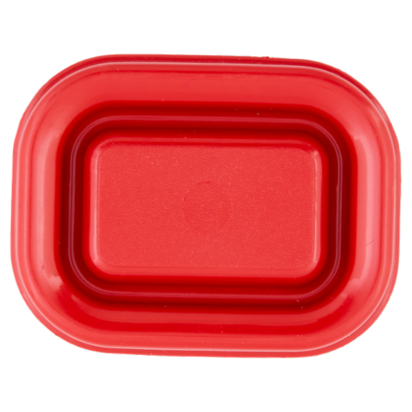 Selex Contenitore per Alimenti Freezer/Frigo Rettangolare 0,15 L