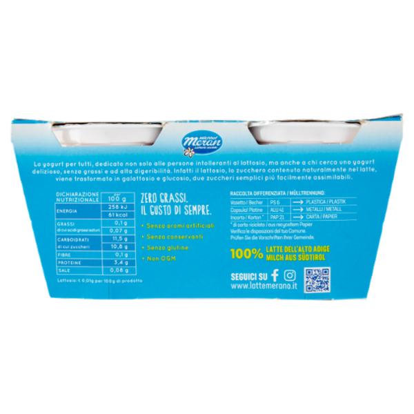 bella vita free Yogurt Magro Senza Lattosio Zero Grassi Fragole e Fragoline di Bosco 2 x 125 g