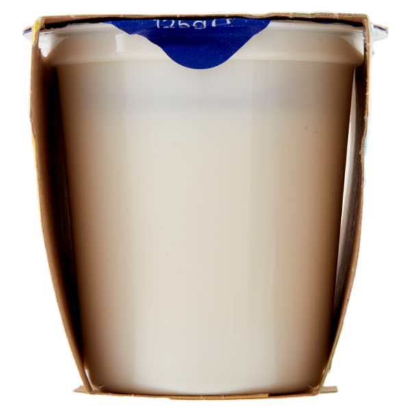 Centrale del latte Vicenza Yogurt Intero Frutta Frullata Agrumi 2 x 125 g