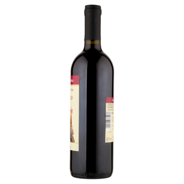 Cantina Valtidone Viti & Vini il Duca Colli Piacentini DOC Novello 0,75 l