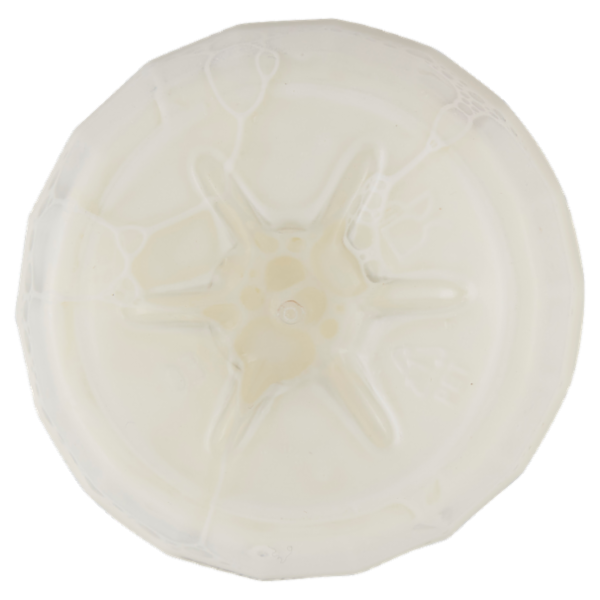 Granarolo Intero Pastorizzato a Temperatura Elevata 1 L