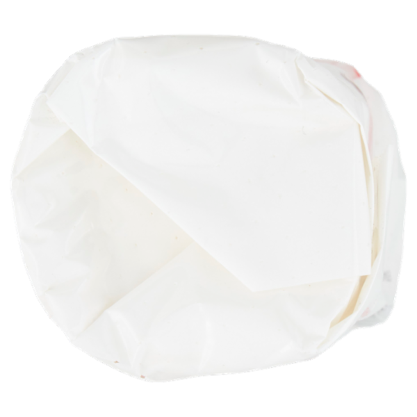 Soignon Tronchetto di capra stagionato 180 g