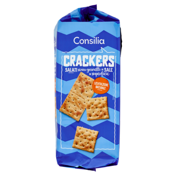 Consilia Cracker Non Salati in Superficie 16x31,25 g