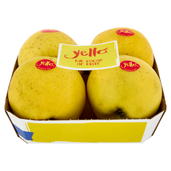 yello by Marlene Shinano Gold vassoio 4 frutti