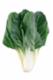 Bietole 500 g