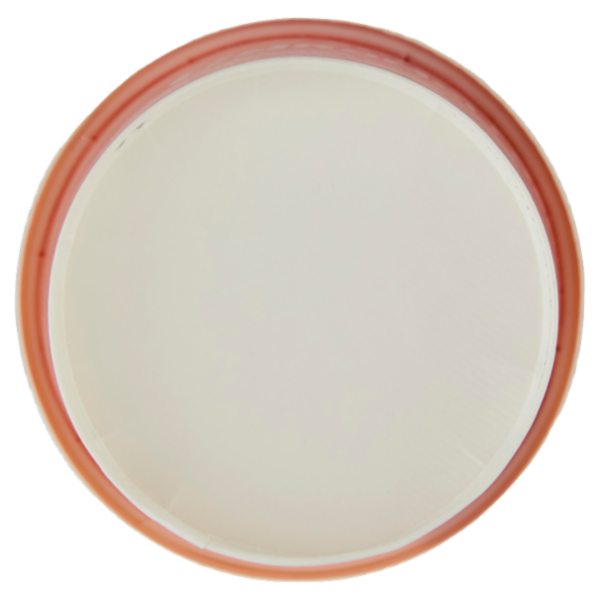 Selex Gelato al Caramello con Crema Spalmabile al Caramello Salato 230 g