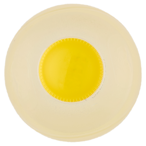 Schweppes Agrumi Zero 1L PET