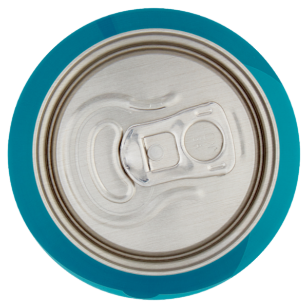 BrewDog Punk Ipa 330 ml