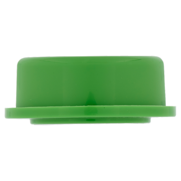 Selex Casa Bella Deodorante per Ambienti Gel Pino 150 g