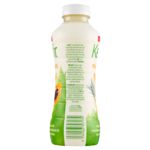 Milk Kefir Multifrutti 480 g