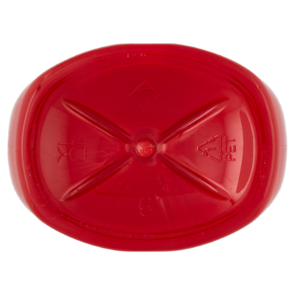 Pomì Ketchup Gusto Classico 560 g