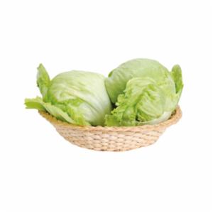 Insalata Lattuga Brasiliana Polonia