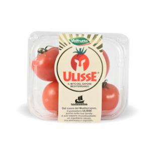 POMODORO ULISSE VALFRUTTA 300G