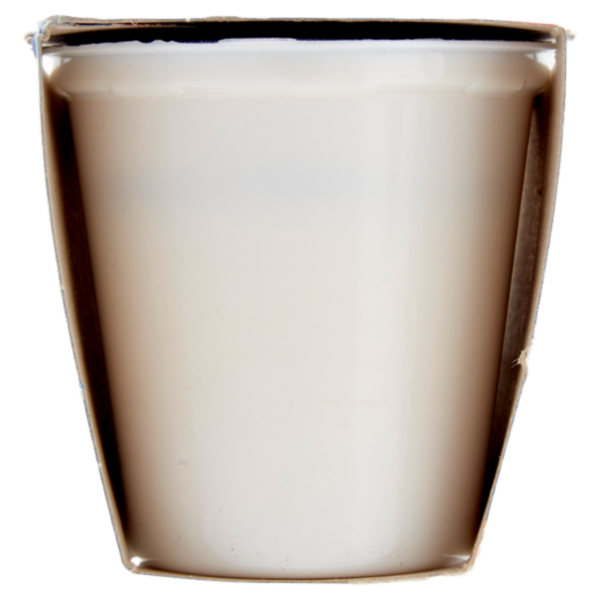 Latteria Brunico Yogurt Cremoso Frutta Frullata Albicocca 2 x 125 g