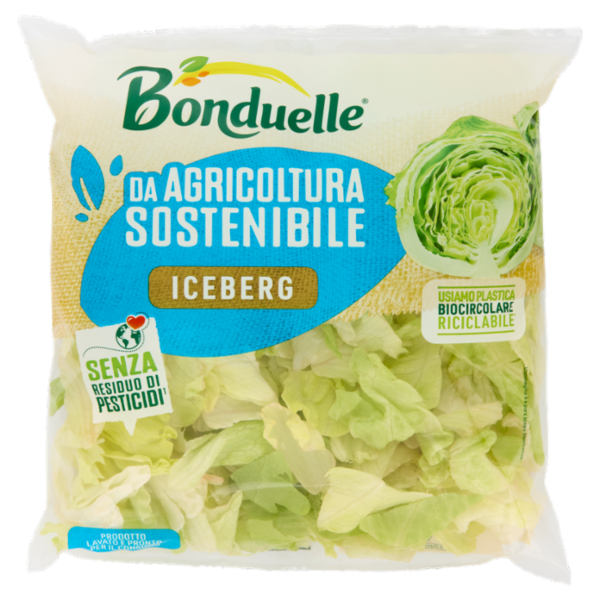 Bonduelle Iceberg 200 g