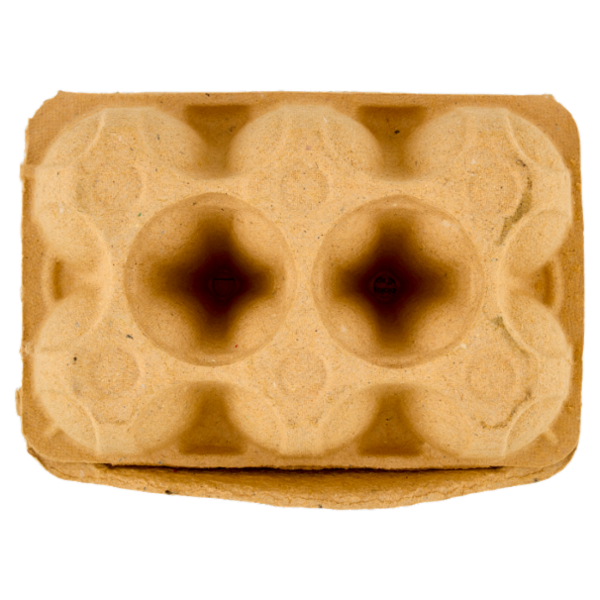 Aia Fresche 6 Uova da allevamento a Terra