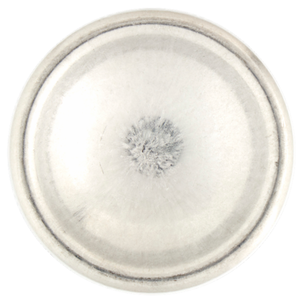 Neutro Roberts Essenze Italiane Dolomiti Olio Essenziale di Magnolia e Muschio Bianco 200 ml