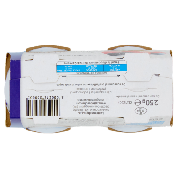 lattebusche yogurt Frutti di Bosco 2 x 125 g