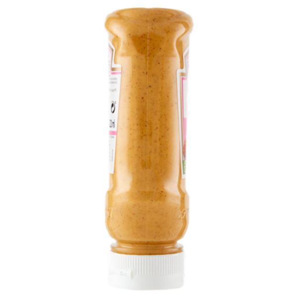 Heinz Salsa Curry Mango 225 g