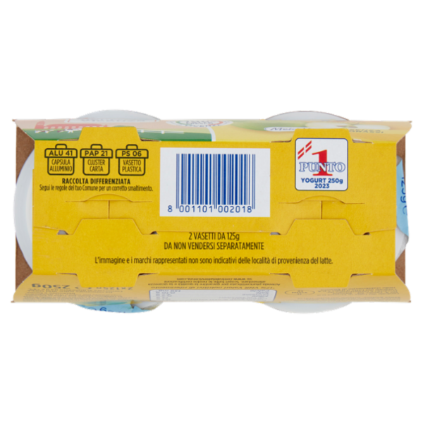 Centrale del latte Vicenza Yogurt Magro Frutta Frullata Mela Verde 2 x 125 g