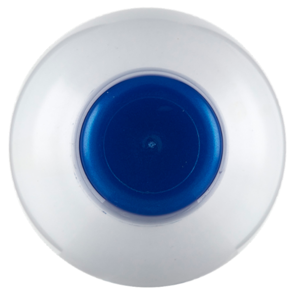 Giardino dei Sensi Fiordaliso vivace Profumo 100 ml