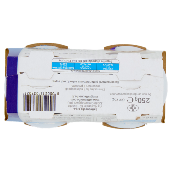 lattebusche yogurt Stracciatella 2 x 125 g