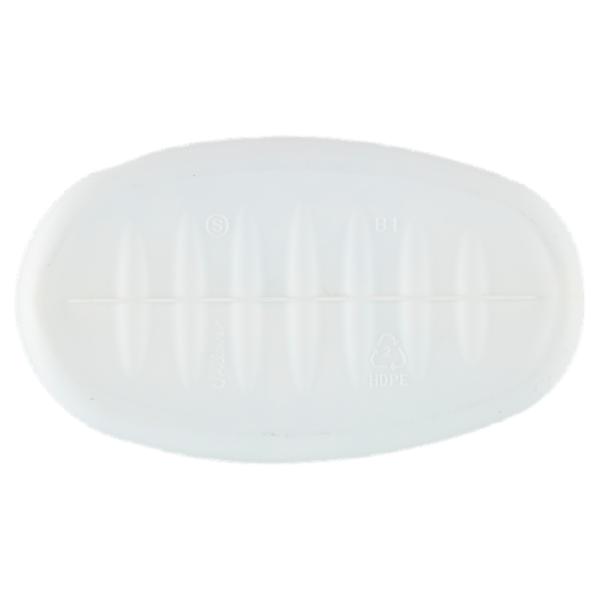 Lysoform Detersivo Igienizzante Classico 54 Lavaggi 2,43 L