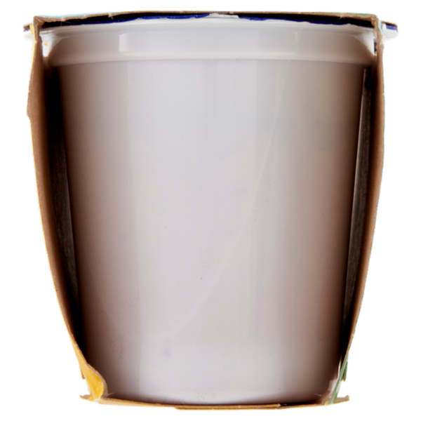 Centrale del latte Vicenza Yogurt Intero Frutta Frullata Frutti di Bosco 2 x 125 g