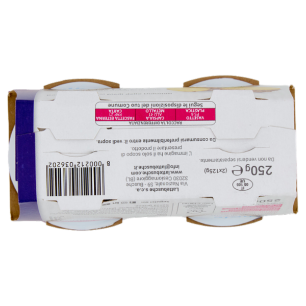 lattebusche yogurt magro Ananas 2 x 125 g