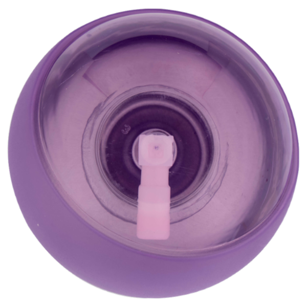 Air Flor ricarica spray automatica lavanda e orchidea 250 ml