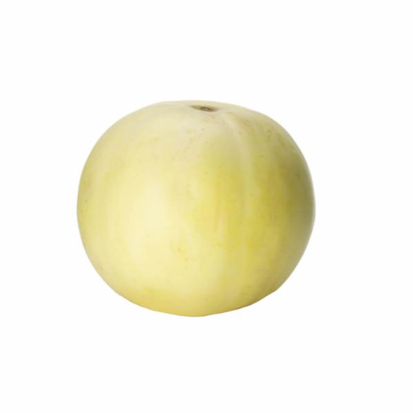 Melone Liscio Bianco
