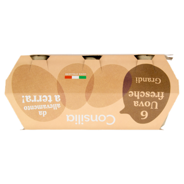 Consilia 6 Uova Fresche Grandi da Allevamento a Terra