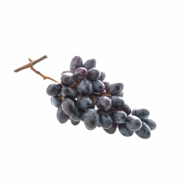 Uva Nera Black Perla Italia