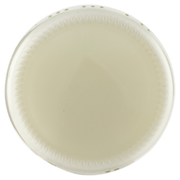 Sterzing Vipiteno Alpenjoghurt Magro Bianco da Latte Fieno 150 g