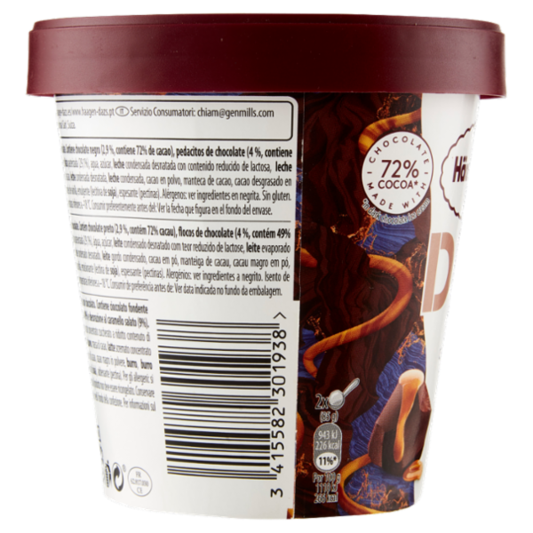 Häagen-Dazs Duo Dark Chocolate & Salted Caramel Crunch 355 g