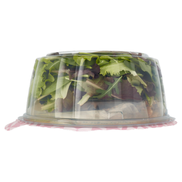 DimmidiSì Piatto unico goloso Parmigiano Reggiano e Noci con crostini 130 g