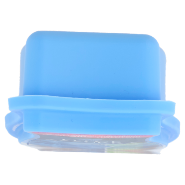 Felce Azzurra classico Gel assorbiodori 140 g