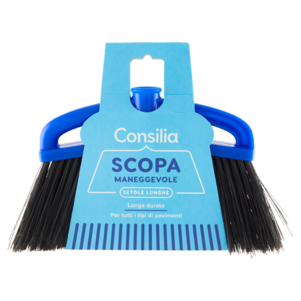 Consilia Scopa Maneggevole con Setole Lunghe
