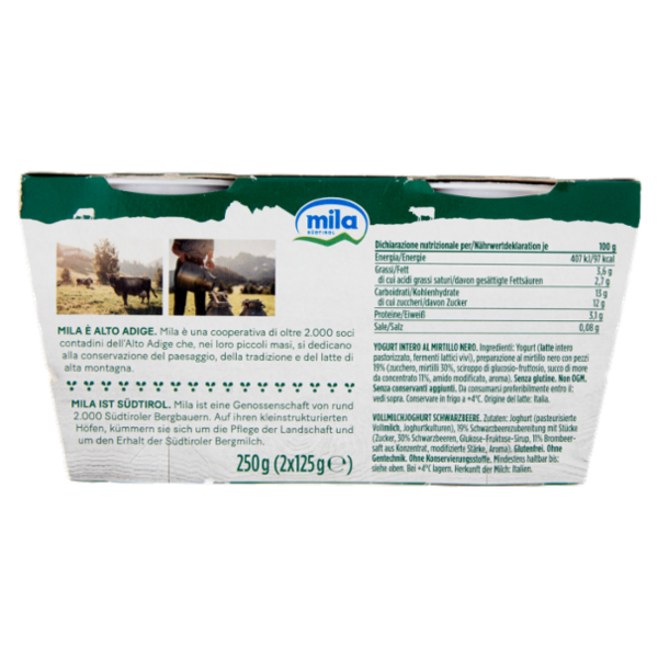mila Yogurt Intero Mirtillo 2 x 125 g