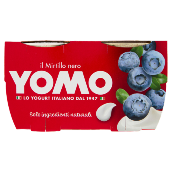 Yomo il Mirtillo nero 2 x 125 g