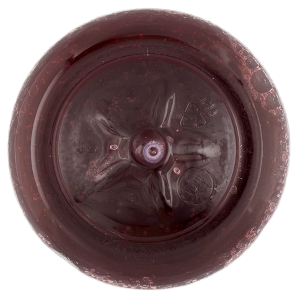 Santal Mix Mirtillo Zero Zuccheri Aggiunti* 250 ml