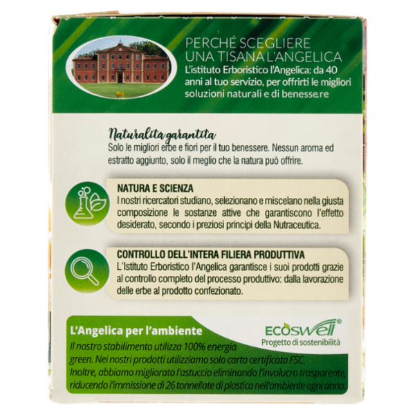 L'Angelica Le Tisane Sollievo Stomaco Active 18 Filtri 27,9 g