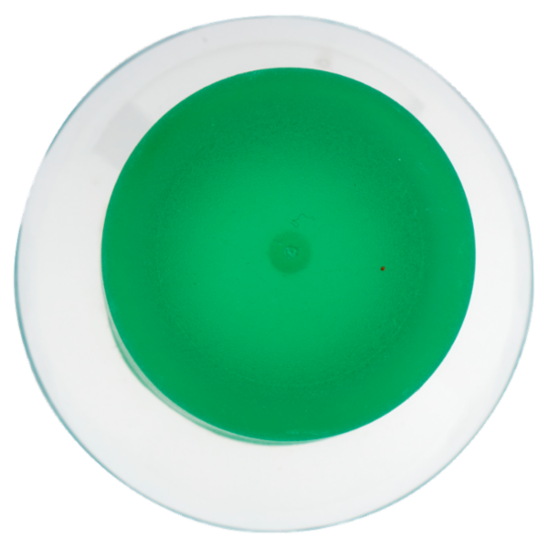 nuncas Profumi Bouquet Smeraldo Menta e Foglie Aromatiche Profumatore per Ambienti 250 ml